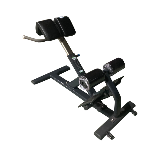 Gym Roman Chair Back Extension for Lower Back Workout