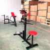 Fitness Equipment Standing And Seated Double Twist Machine for Gym & Home